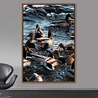 Framed Canvas Wall Art Group of Birds Beach Birds Expressive Group Multicolor Photography - 16x24 inches