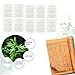 10Pcs Foot Pads, Remove Toxin Pads, Natural Wormwood Foot Adhesive, Health Care Foot Patch for Body Conditioningthumb 1