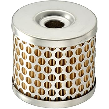Amazon.com: FRAM HPG1 High Performance Gas Filter: Automotive fram g3 fuel filter 