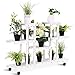 Giantex Rolling Flower Rack Wood Plant Stand on Wheels 6 Wood Shelves 12 Pots Bonsai Display Shelf Indoor Outdoor Yard Garden Patio Balcony Living Room Storage Rack Bookshelf Hollow Shelves (White)