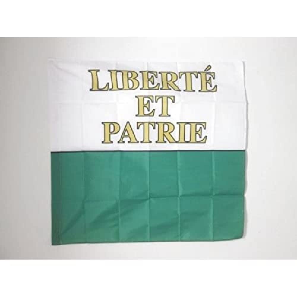 AZ FLAG - Canton of Vaud Flag - 3x3 Ft - 100% Polyester Vaud - VD Banner with Sleeve - Fade Resistant - Vivid Colors - 3' x 3' Feet - 90x90 Cm