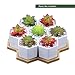 Set of 7 Hexagon Shaped Ceramic Succulent Planters Cactus Flower Pots, Geometric Plant Pots with Bamboo Tray