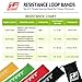 RitFit Resistance Loop Bands - Set of 4 Fitness Exercise Bands for Fitness Workouts - Stretching and Physical Therapy - Plus Free Exercise Book, Video & Carrying Bag