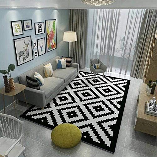 Znx Buffalo Plaid Rug Large Area Rugs Geometric Rug Living Room Bedroom Kitchen Laundry Room Rug Black and White Rug Outdoor Carpets Patio Non Skid Washable (Color : 2, Size : 200x300cm)