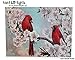 BANBERRY DESIGNS Bird Pictures - Cardinal Pair in Cherry Blossoms - Spring Cardinals LED Lighted Canvas Print - Bird Collection