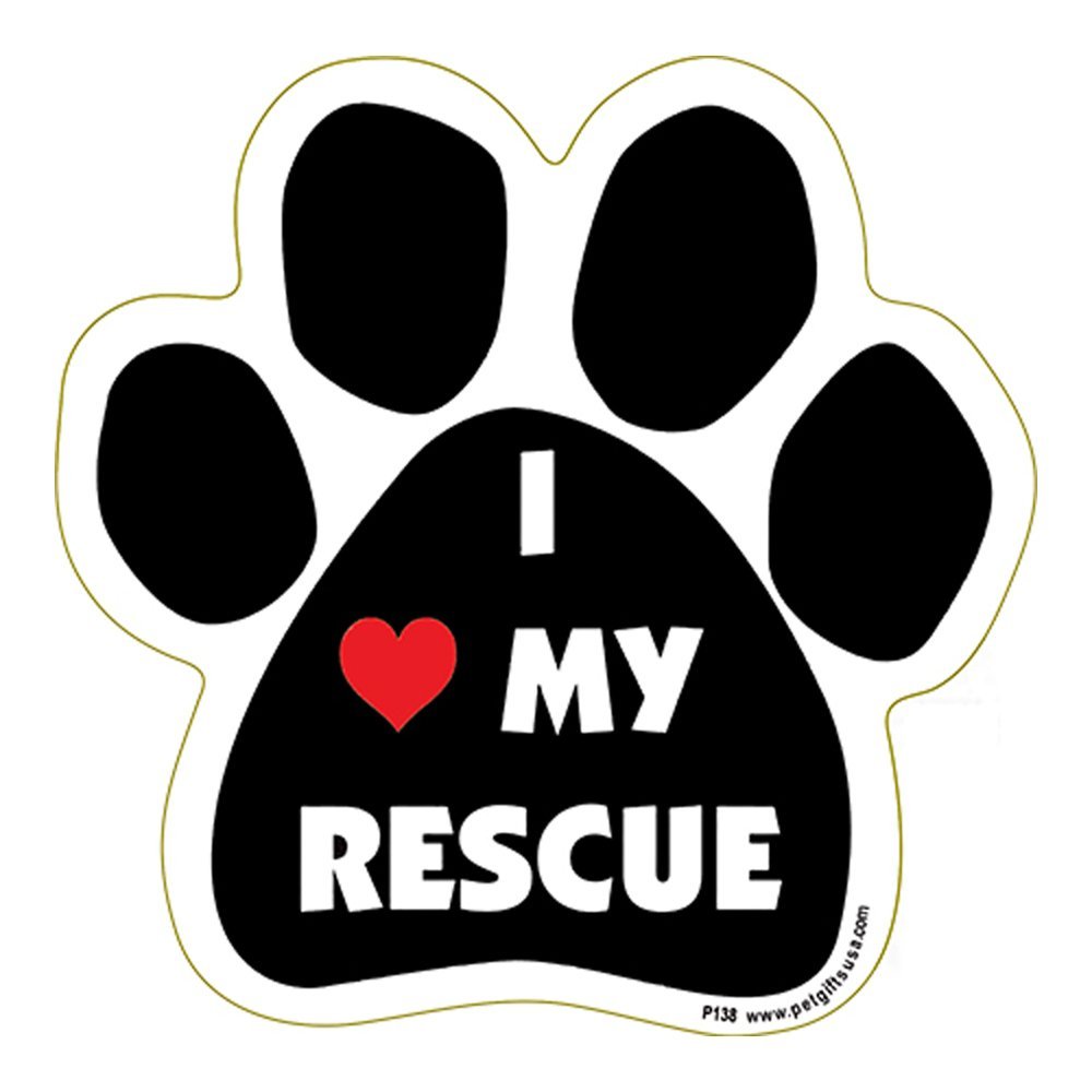 The 10 Best Furry Animals Refrigerator Magnets