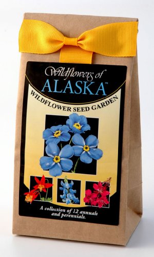 Alaska Wildflower Seed Garden Bulk Mix 3.5 oz Covers 350 Square Feet