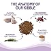 Wellness Natural Pet Food Complete Health Natural Dry Cat Food, Indoor Chicken Recipe, 12-Pound Bag (8978)