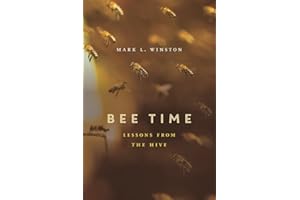 Bee Time: Lessons from the Hive