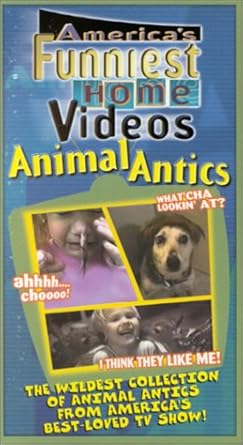 America Funniest Videos On Youtube America Funniest Videos On Youtube