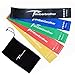 Timberbrother Resistance Loop Bands with Workout Poster 16.5”x 22.4”,Set of 5 Exercise Bands for Crossfit Workout and Physical Training