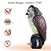 CampFENSE Owl Decoy with Rotating Head, Sculpture with Frightening Sound & Shadow Control (Batteries Not Included)