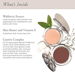 Pur Minerals 4-in-1 Pressed Mineral Makeup SPF 15