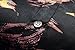 SSLR Men's Relaxed Fit Button Down Casual Short Sleeve Shirt (Medium, Black)