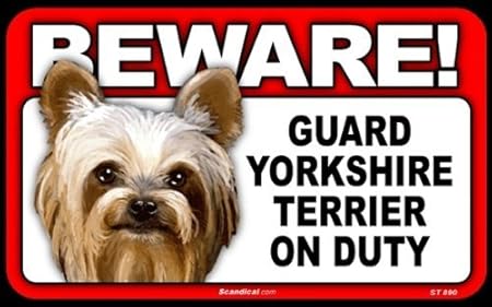 yorkie guard dog