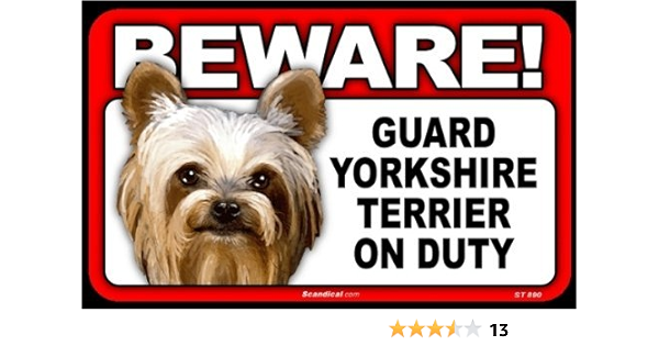 yorkie guard dog