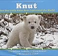 Knut: How One Little Polar Bear Captivated the World