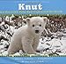 Knut: How One Little Polar Bear Captivated the World - Book by Craig Hatkoff