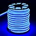 DELight 150ft 110V Blue Flexible LED Neon Rope Light Indoor Outdoor Holiday Valentines Party Decor Lighting