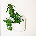 Living Wall Planter Recycled Plastic Self Watering Vertical Gardening System 4-pack White