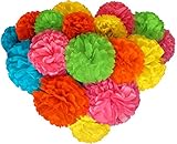 Voplop Paper Pom Poms - 20 pcs of 8, 10, 14 Inch - Paper Flowers - Perfect For Wedding Decor - Birthday Celebration - Table and Wall Decoration (Multi colored)