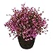 VGIA home decor Purple artificial retro potted plant,plastic flower,mini tree.