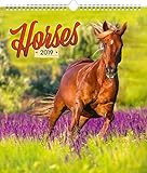 Horses Calendar - Calendars 2018 - 2019 Wall Calendar - Photo Calendar - 12 Month Calendar by Presco by 