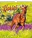 Horses Calendar - Calendars 2018 - 2019 Wall Calendar - Photo Calendar - 12 Month Calendar by Presco by 