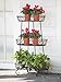 Sunjoy Oval Wrought Iron Plant Standthumb 1
