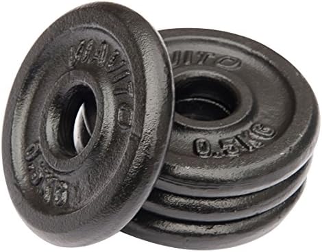 0.25 kg weight plates