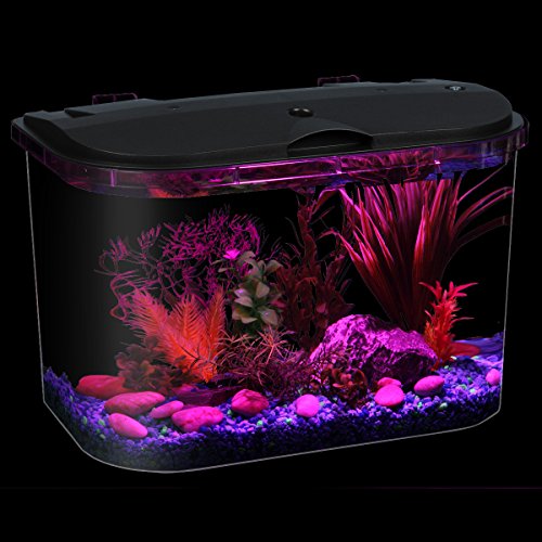 Koller Products 5Gallon Aquarium Kit With LED Lighting And Power