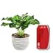 MyGift Modern 4 Inch Small Tabletop Potted Artificial Plant/Faux Home Greenery w/White Ridged Ceramic Pot