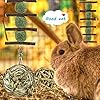 ERKOON Guinea Pig Treat Toys, Small Animal Chew Boredom Breaker Natural Rabbit Hamster Teeth Care Molar Grass Balls…