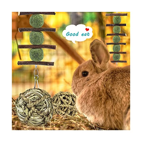 ERKOON Guinea Pig Treat Toys, Small Animal Chew Boredom Breaker Natural Rabbit Hamster Teeth Care Molar Grass Balls…