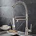 Fapully Contemporary Spring Single Handle Kitchen Sink Faucet with Pull Down Sprayer, Brushed Nickel