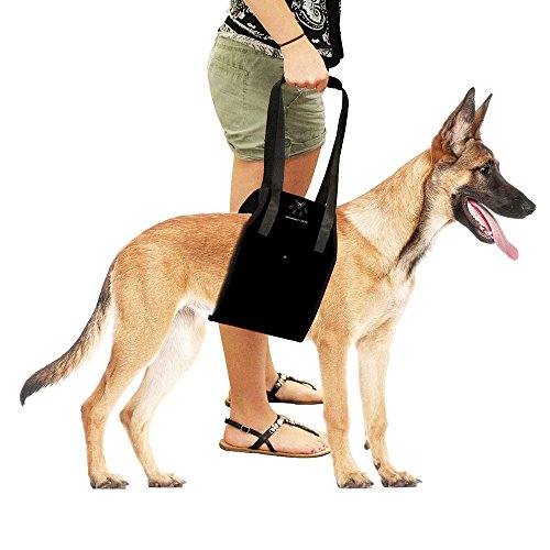 Compare Price hip dysplasia joint harness on