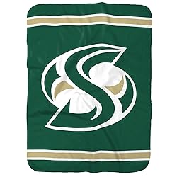 Sacramento State University Primary Logo Stripes