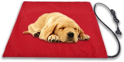 electric dog blanket outdoors
