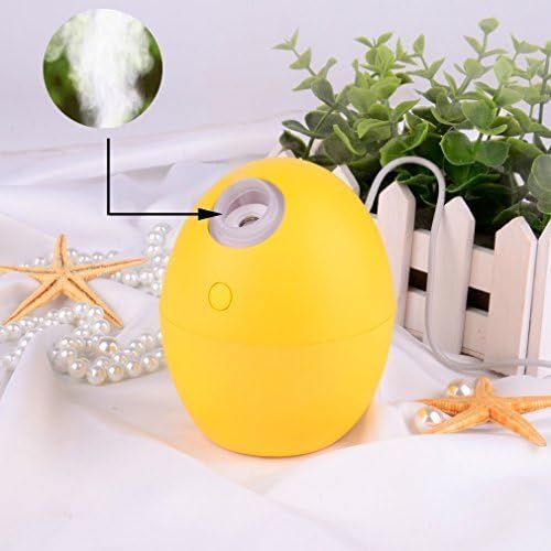 Ejotc Mini Portable 2 Color Mode Gift LED Light 160ML USB Cool Mist Humidifier for Room Office Desk Car