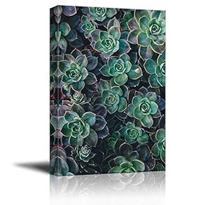 Canvas Wall Art Green Cactus in Nature Painting Artwork for Home Prints Framed - 12x18 inches