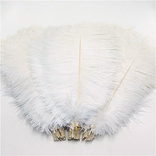Hanlanbo 20pcs Ostrich Feather Craft Plume 10-12"(25-30cm) for Wedding Party Centerpieces Home DIY Decoration (White)