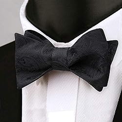Alizeal Men's Paisley Jacquard Tuxedo Self Bow Tie