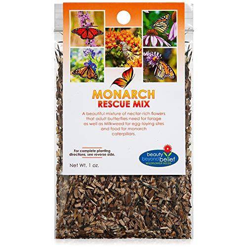 Monarch Butterfly Rescue Wildflower Seeds Bulk OpenPollinated