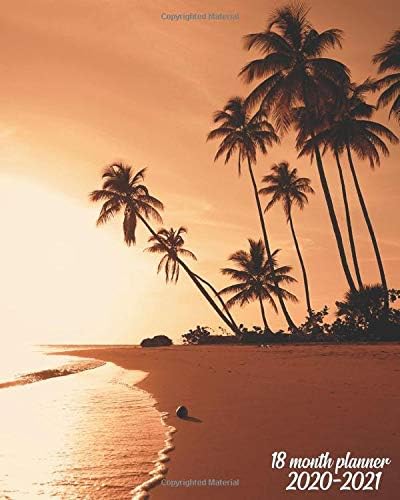 2020-2021 18 Month Planner: Nifty Organizer with Weekly & Monthly Views - Calendar & Agenda with To Do's, Inspirational Quotes, Vision Boards & More - ... At The Beach, Punta Cana, Dominican Republic