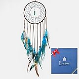 Ricdecor Handmade Indian Peacock Feathers Dream Catcher Wall Hanging Car Hanging Decoration Ornament 18 Inch Long (Blue Diamond)