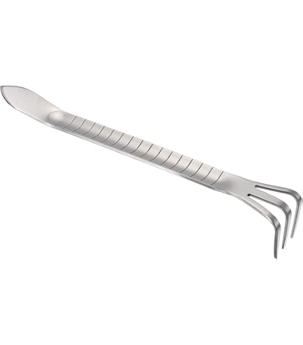 Amazon.com : Joshua Roth Bonsai Rake, Stainless Steel, Professional Grade :  Patio, Lawn & Garden