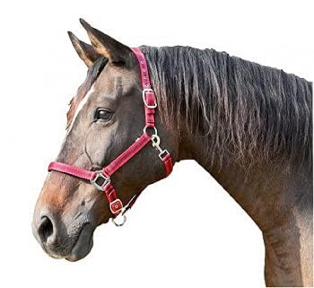 Kerbl Mustang Head Collar - Red/Black, Size 3