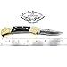 Best.Buy.Damascus1 Damascus pocket knife, Folding knife, Pocket Knife For Men, Knife Set with knife sharpeners Premium Quality gifts for men (Buffalo Horn Scrimshaw)