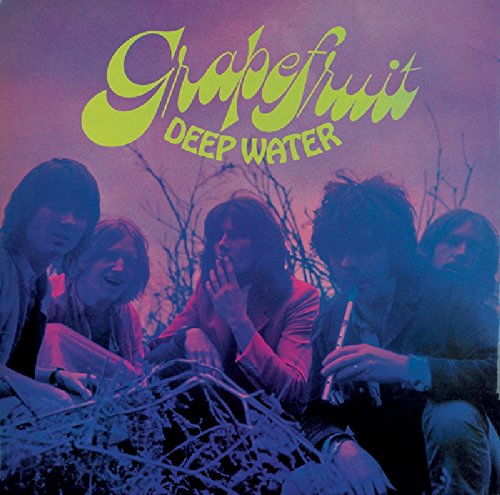 Grapefruit - De Pre Historie Oldies Collect - Zortam Music