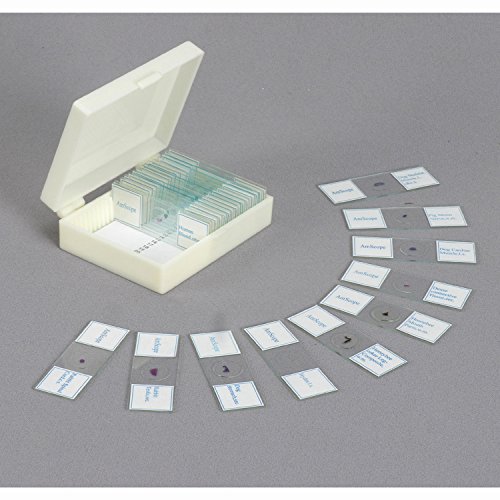 AmScope M60C-ABS-PS25-WM Beginner Microscope Kit, Mirror Illumination, WF10x and WF20x Eyepieces, 40x-1000x Magnification, Includes Case, Set of 25 Prepared Slides, and Book